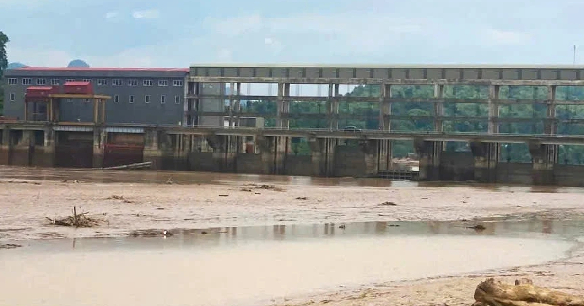 Thanh Hóa: Thủy điện Cẩm Thủy 1 gặp sự cố khiến 3,8 tấn cá chết