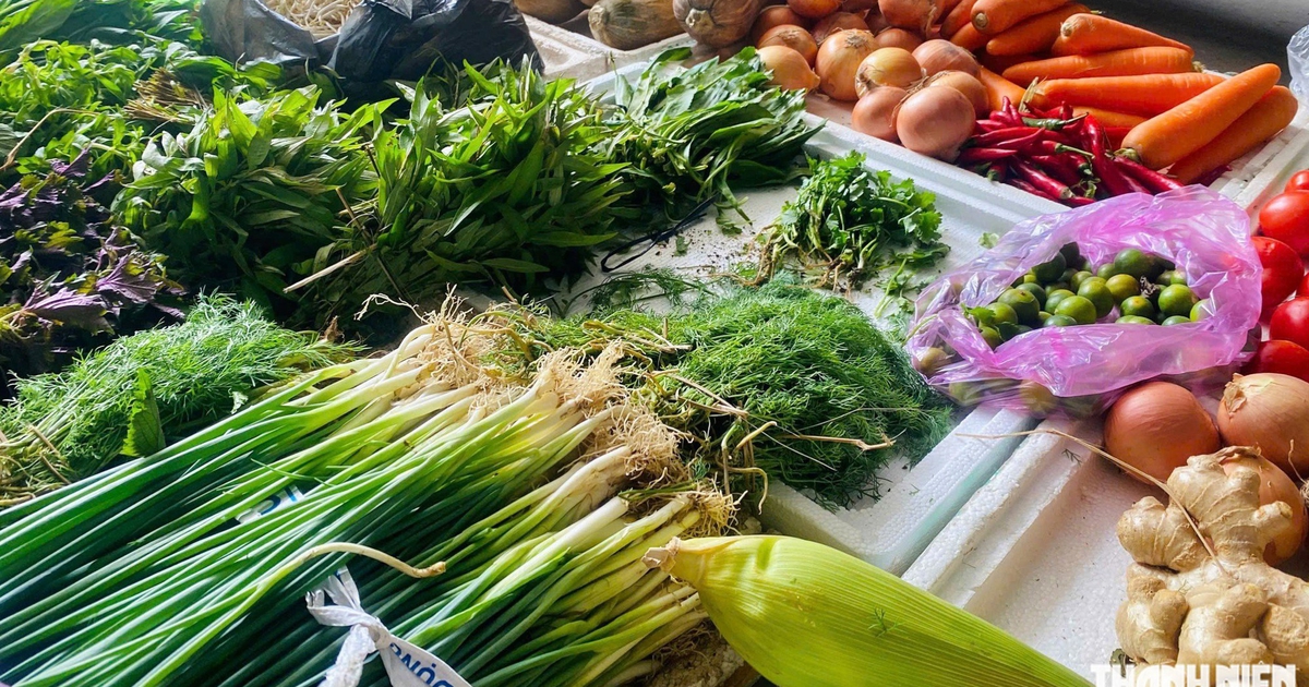 Gi&aacute; rau tại H&agrave; Nội tăng cao, đắt ngang thịt