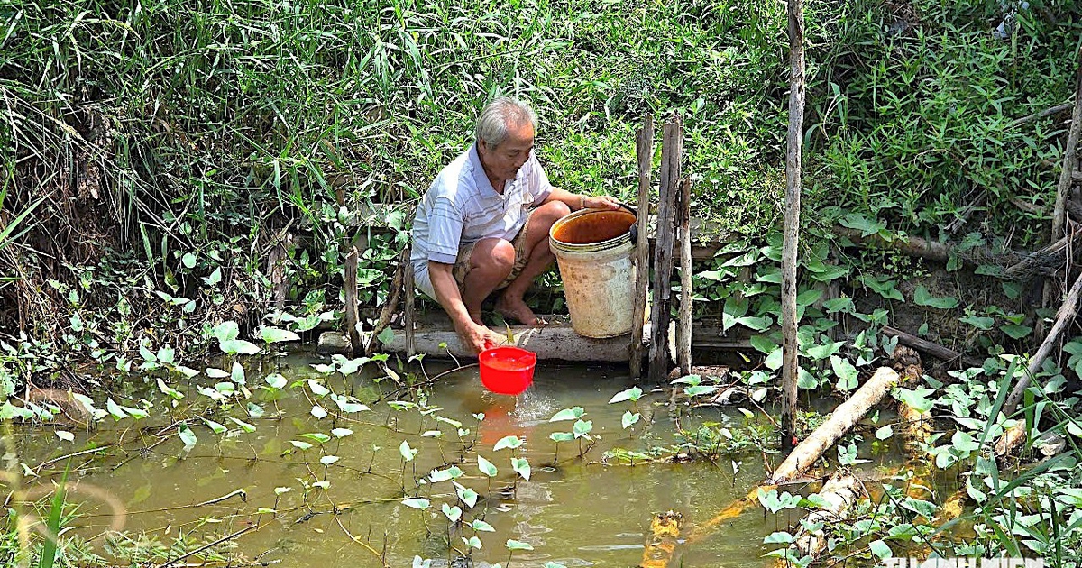 El Nino rất mạnh, gần 13.800 hộ d&acirc;n C&agrave; Mau c&oacute; thể thiếu nước