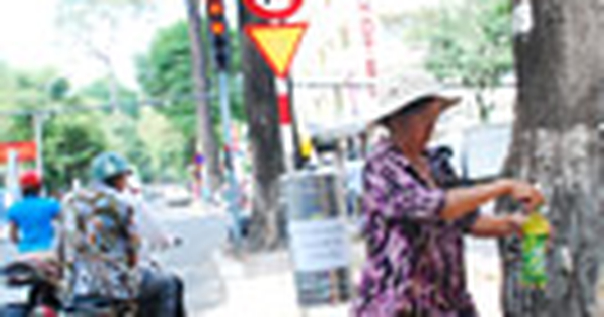 thanhnien.vn