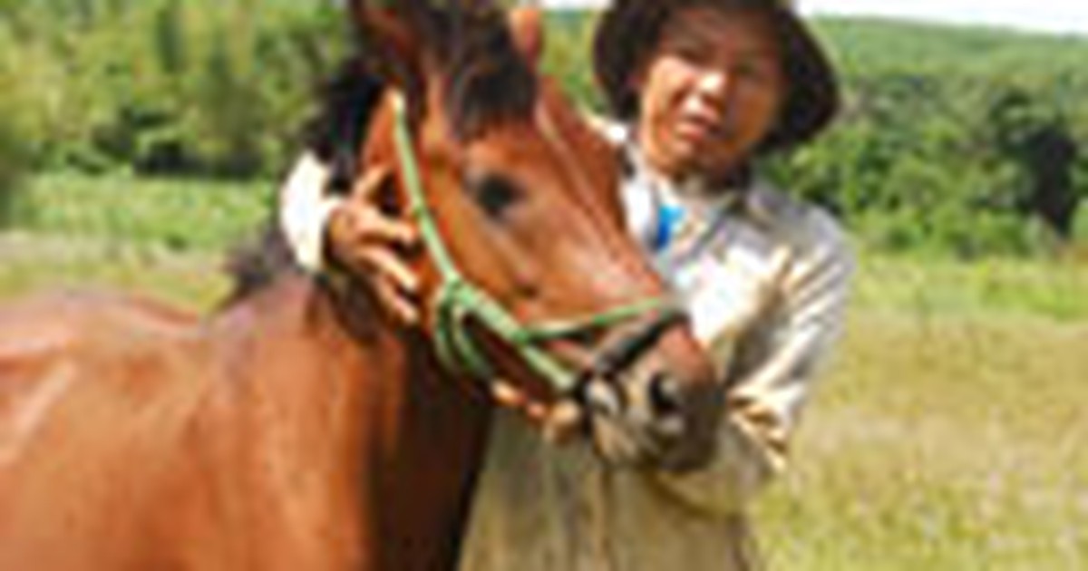 Nuôi ngựa trên độ cao 400 mét