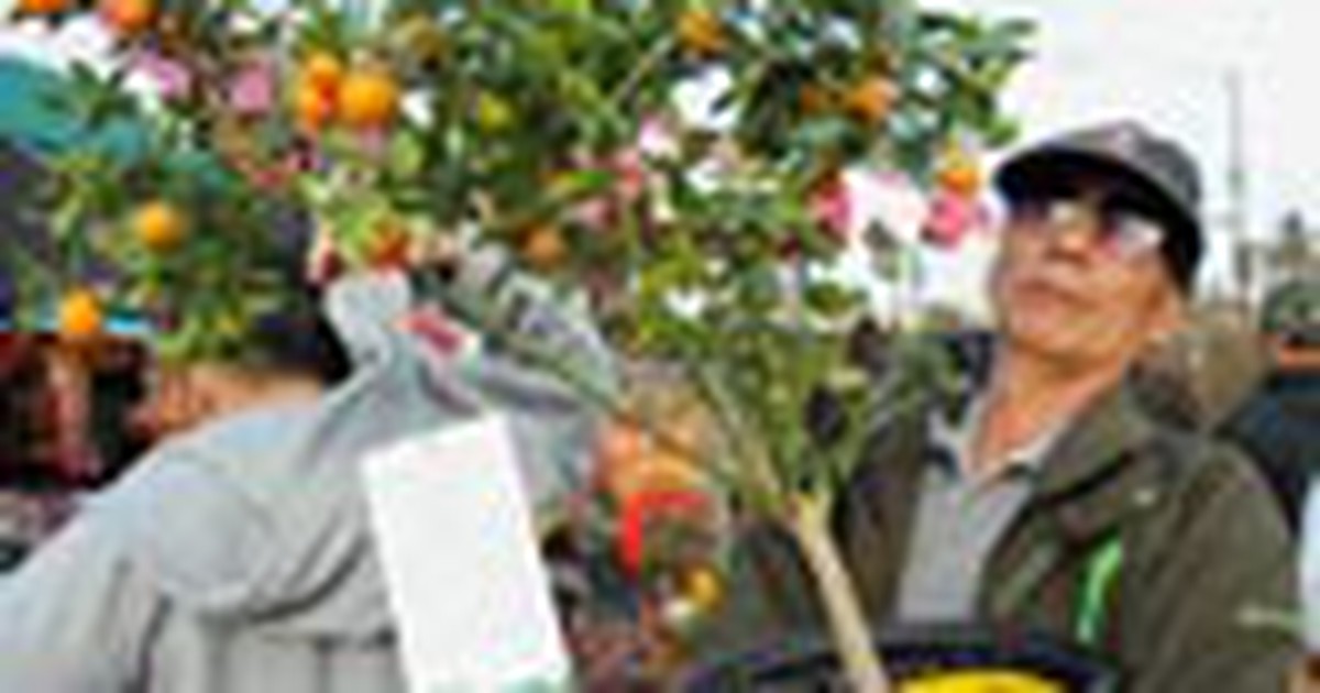 Phiên chợ cuối năm ở quận Cam "vui như tết"