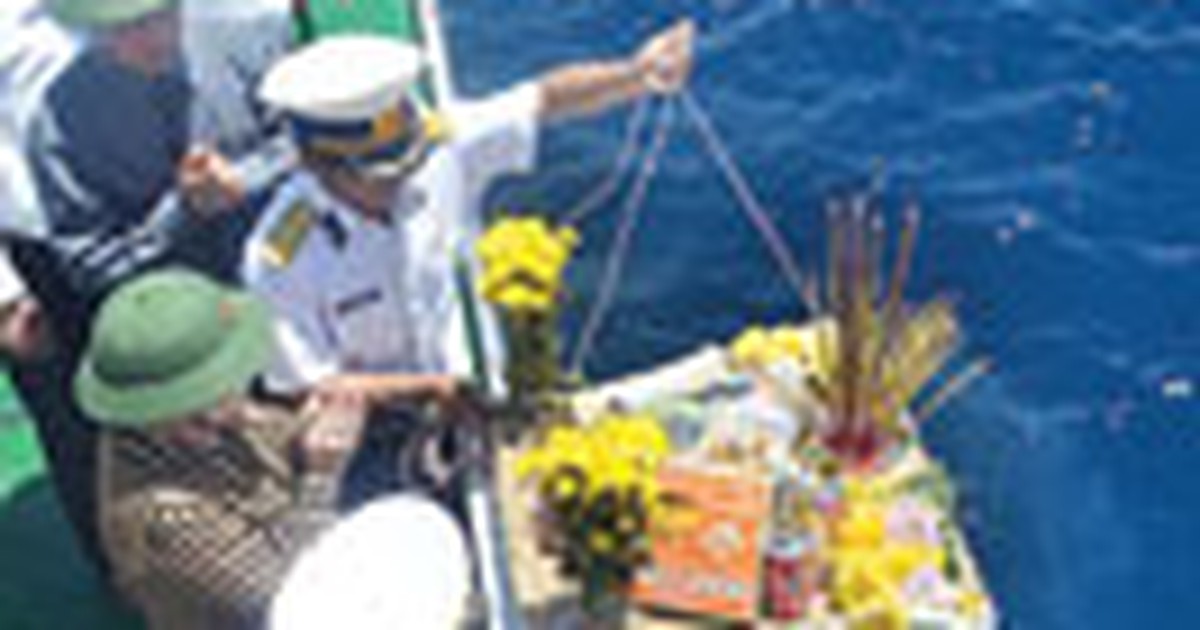 Cúc vàng trên biển xanh