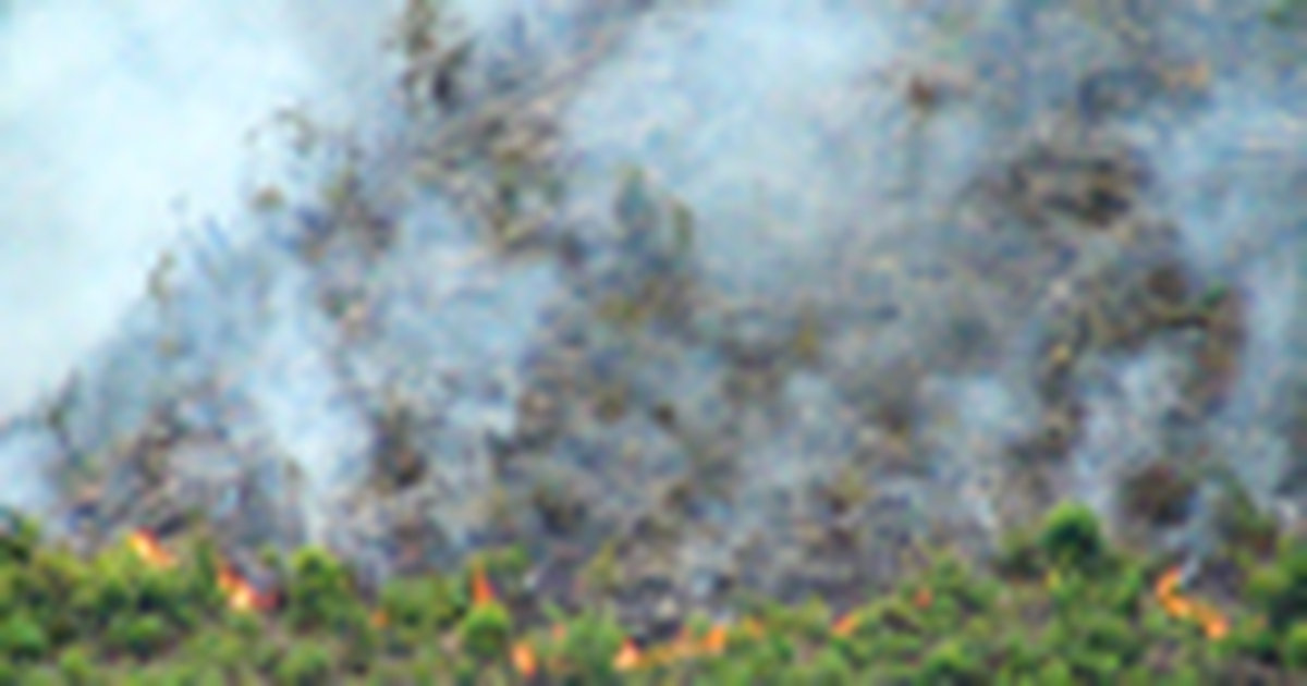 Đốt thực bì gây cháy rừng ở đèo Đại La