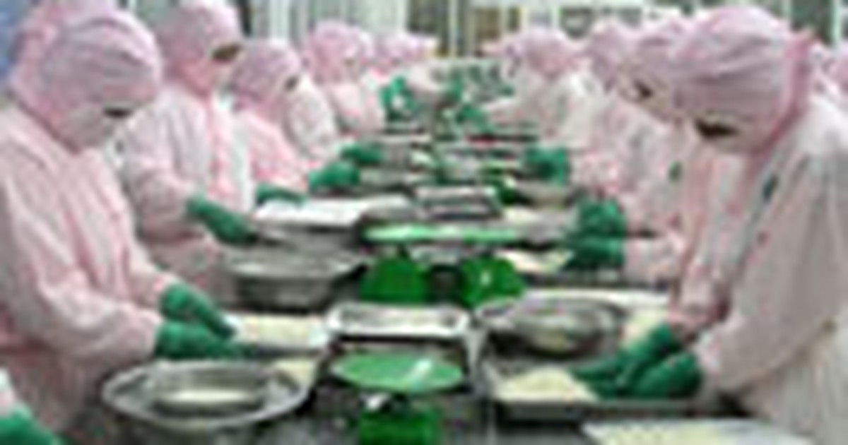 Vụ kiện chống trợ cấp tôm nhập khẩu: Thu thập chứng cứ bảo vệ DN