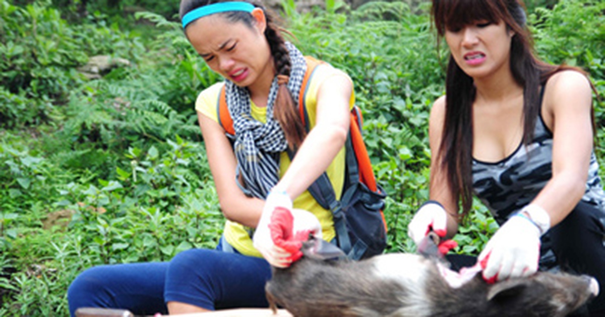 Xẻ thịt lợn trên truyền hình có phản cảm?