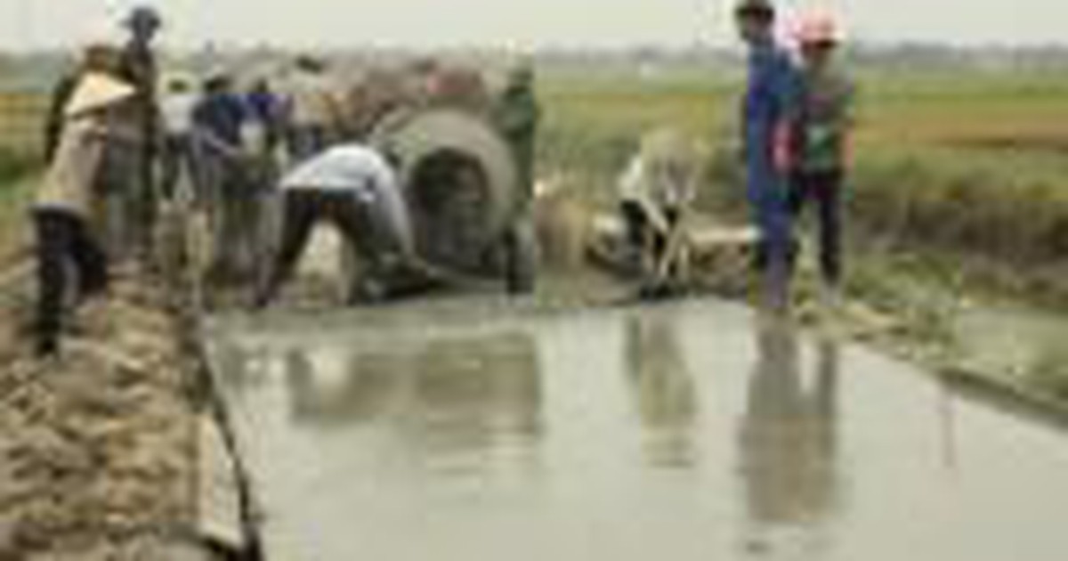 Cả làng hiến ruộng làm đường bê tông