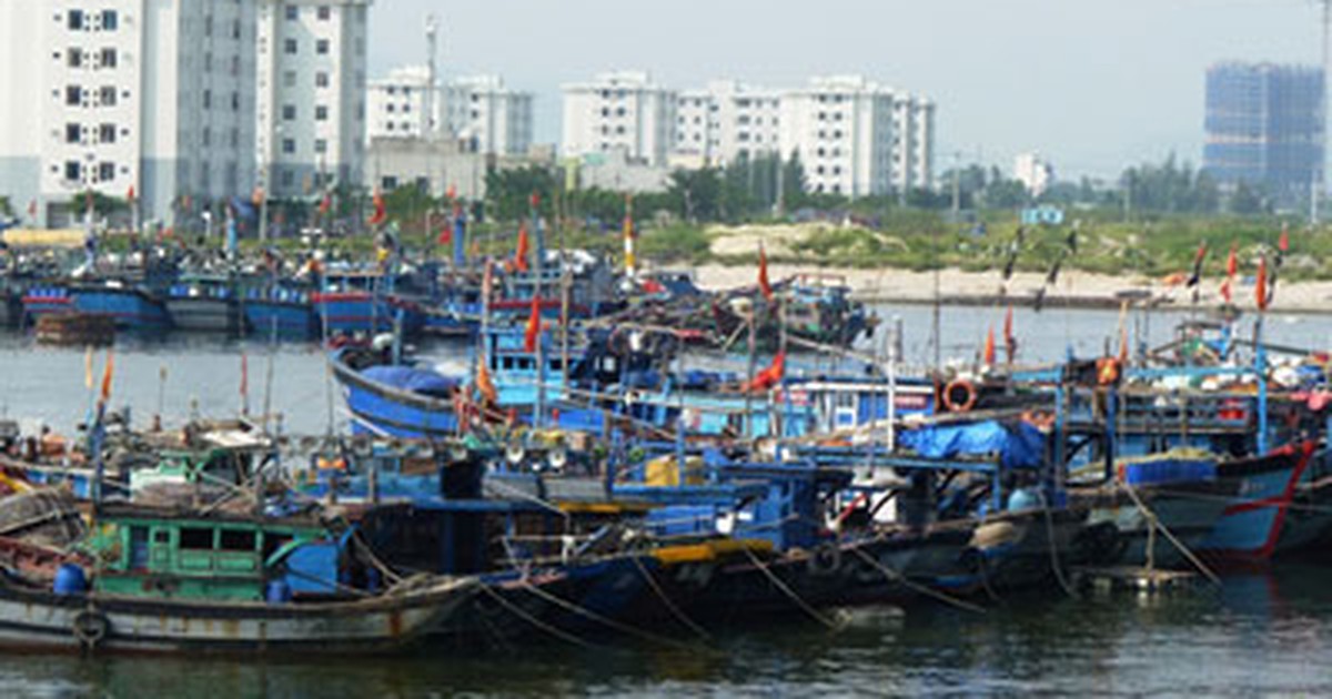 Đà Nẵng đề nghị diện tích nhà ở từ 20-22 m2 sàn/người mới được đăng ký thường trú