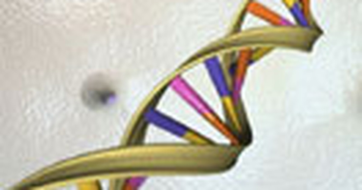 Đột biến nhỏ hình thành nên con người hiện đại