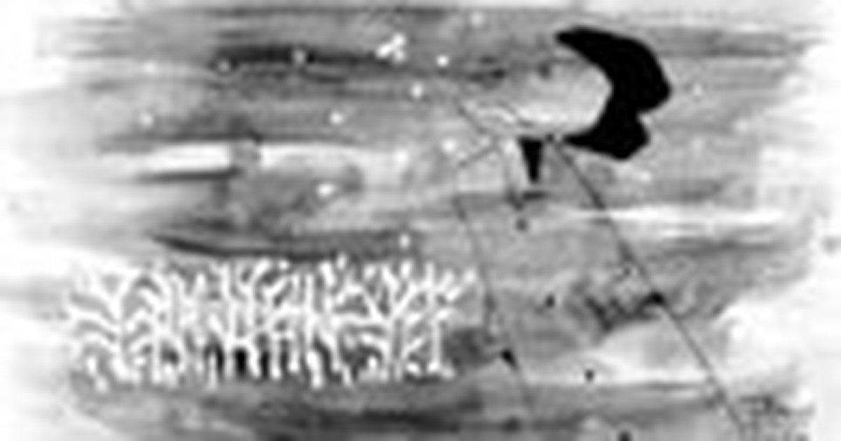 Mùa săng kê rụng lá - Truyện ngắn của Nguyễn Vĩnh Nguyên