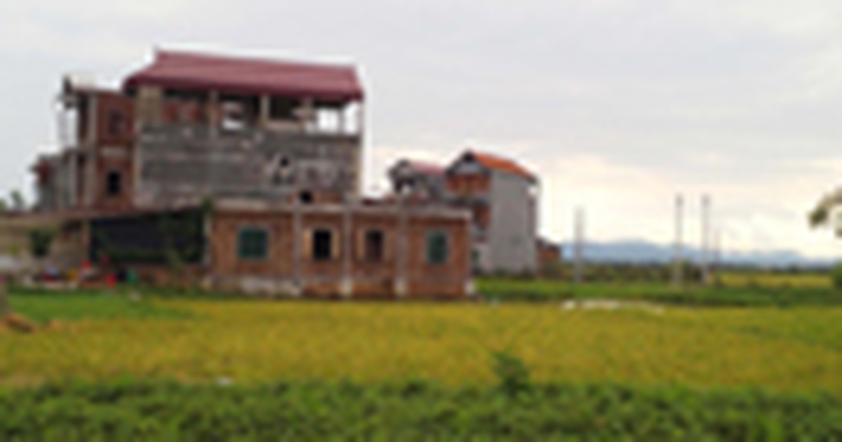 Xã thu tiền, cho dân xây nhà trên đất nông nghiệp