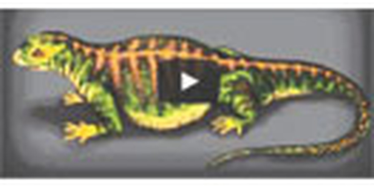 Hóa thạch tổ tiên loài rùa