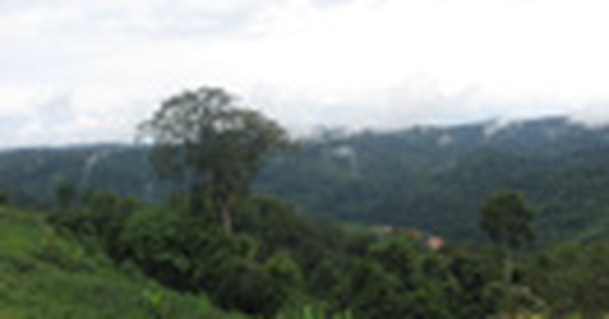 Rút hồ sơ đề cử Vườn quốc gia Cát Tiên là di sản thiên nhiên thế giới