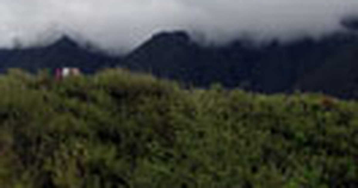 Làm rõ trách nhiệm vụ sinh viên mất tích ở Phanxipang