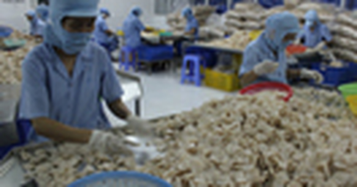 Doanh nghiệp nỗ lực vượt khó