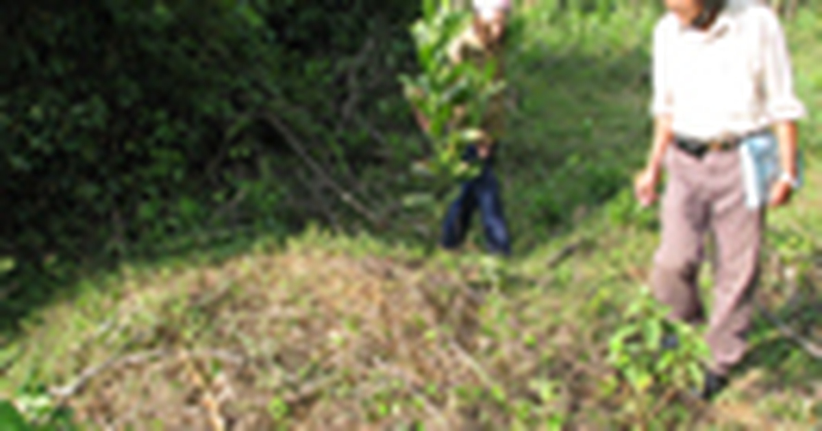 Tâm nguyện của người cựu binh già