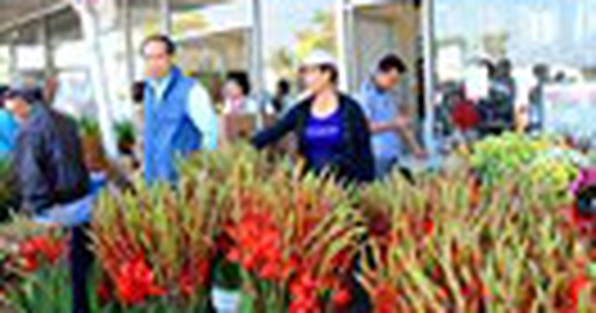 Little Sài Gòn nhộn nhịp phiên chợ cuối năm