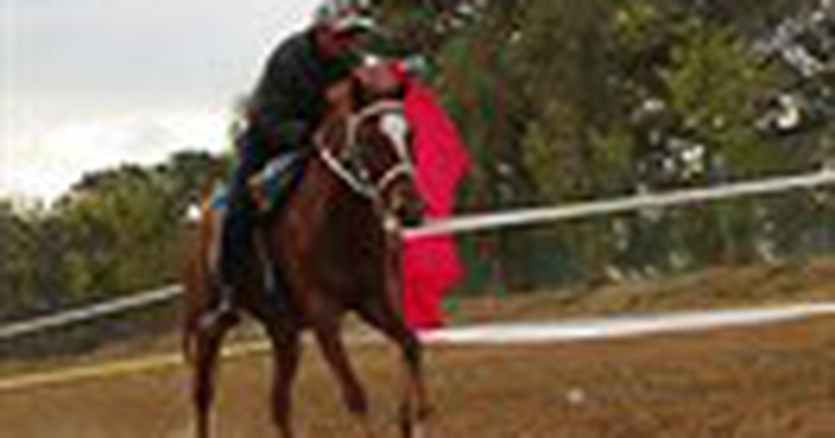 Giải đua ngựa lần thứ 2 tại Thung lũng Tình yêu