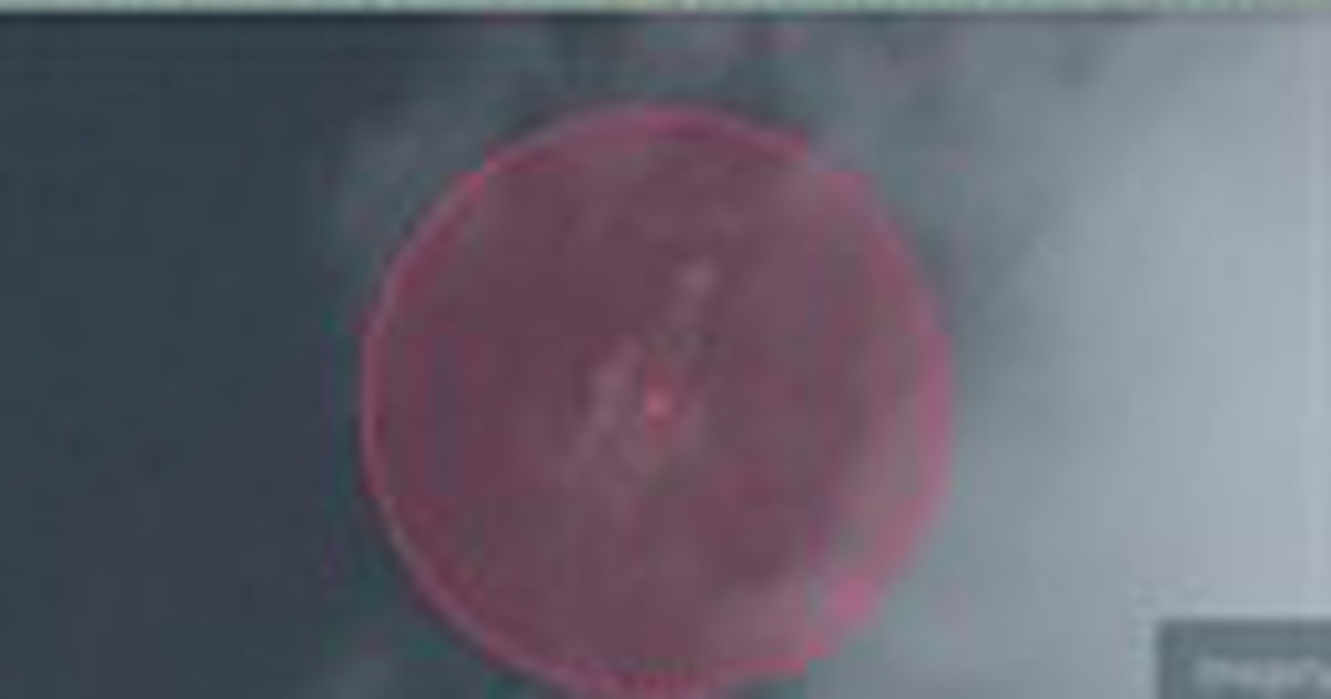 Lại xuất hiện ảnh vệ tinh nghi xác máy bay Malaysia mất tích dưới biển