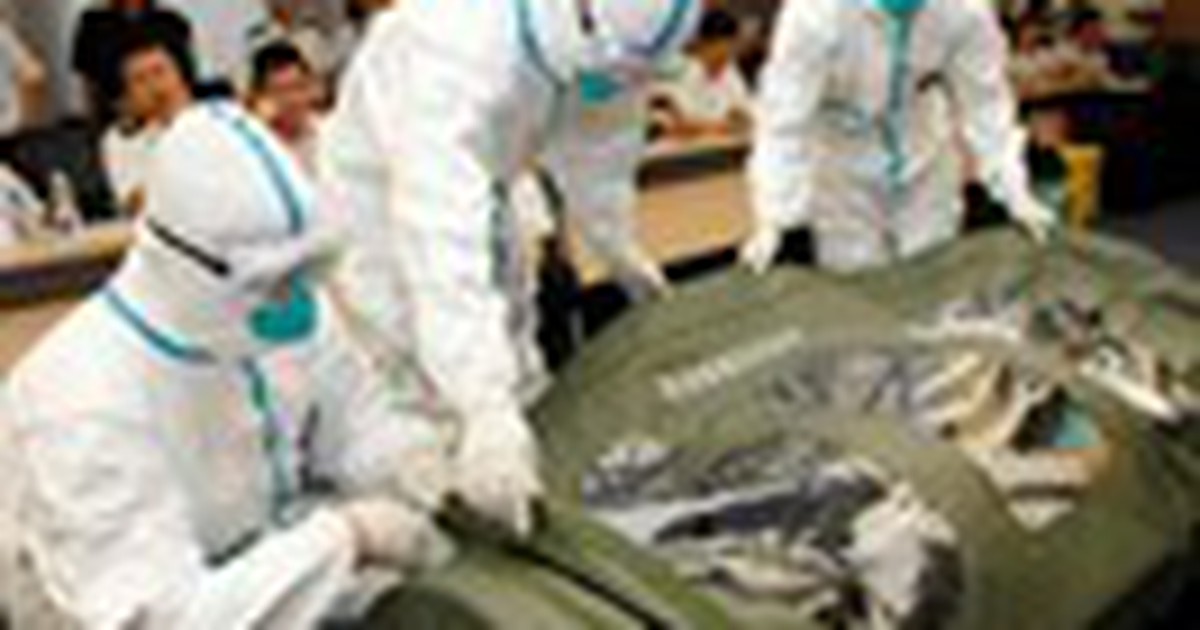 Bệnh nhân chết vì dịch bệnh Ebola tăng lên 1.427 người