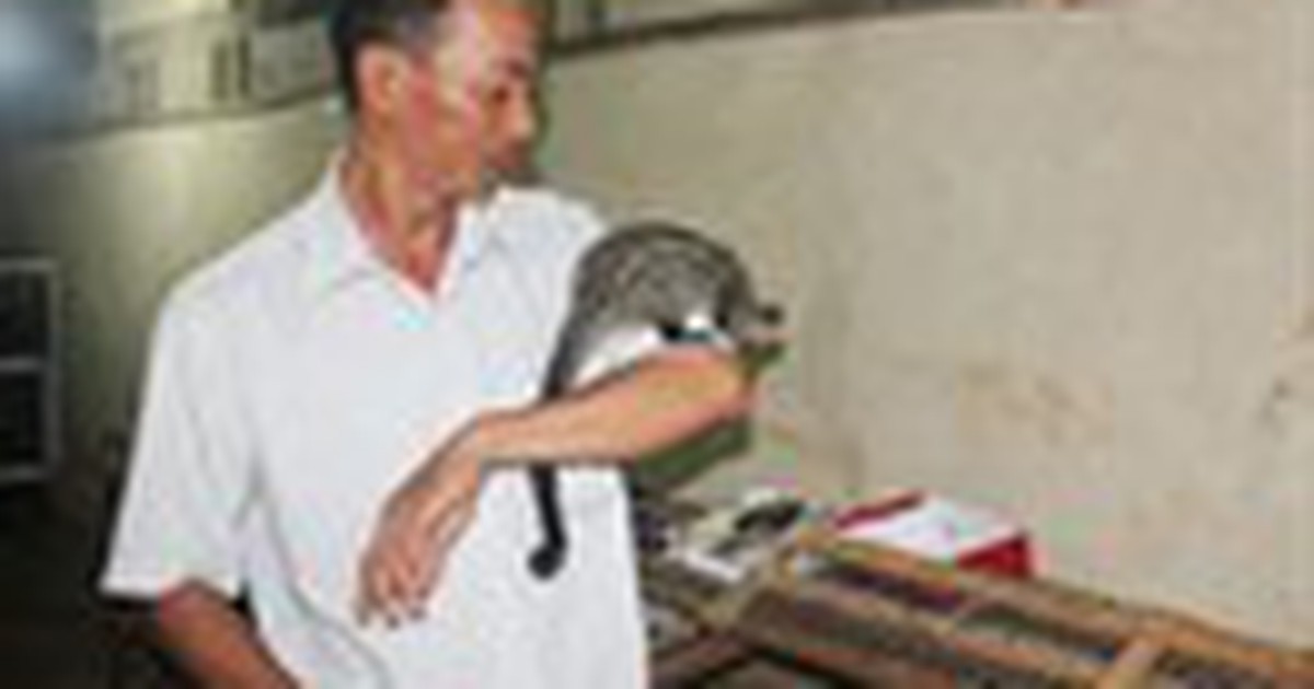 Tự tạo cơ hội - Kỳ 58: Tính kế làm ăn lớn với cà phê chồn