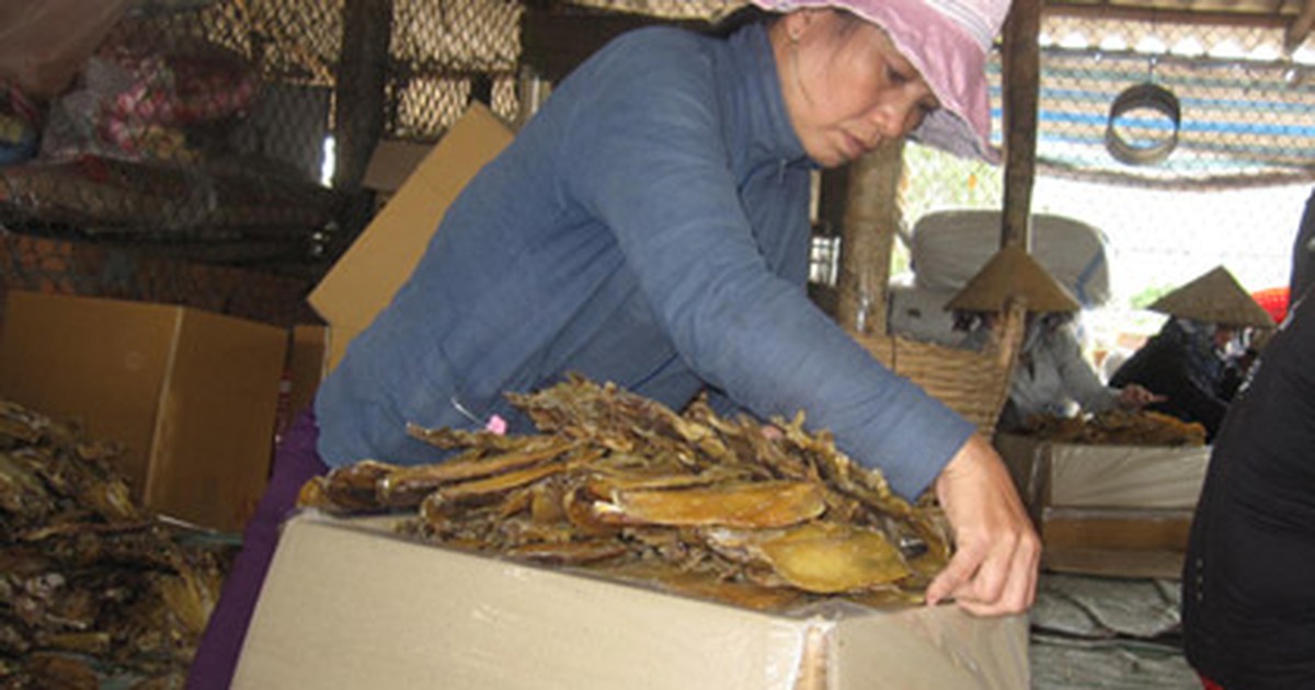 Nhặt cá thuê nuôi con vào đại học