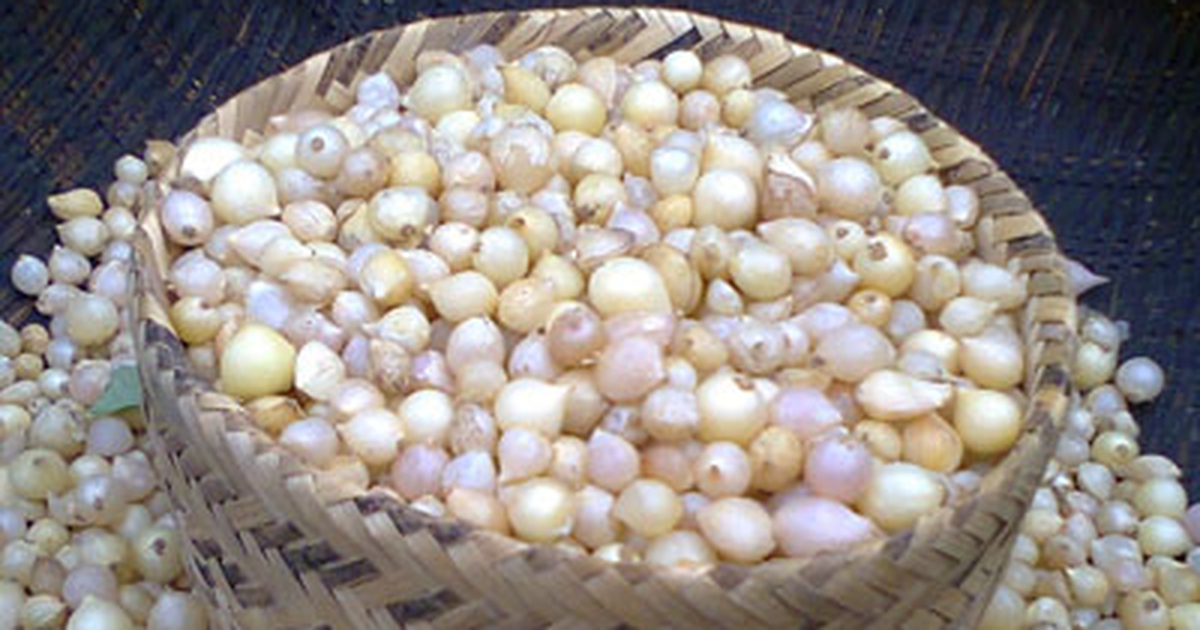 Gia vị củ nén của người Quảng