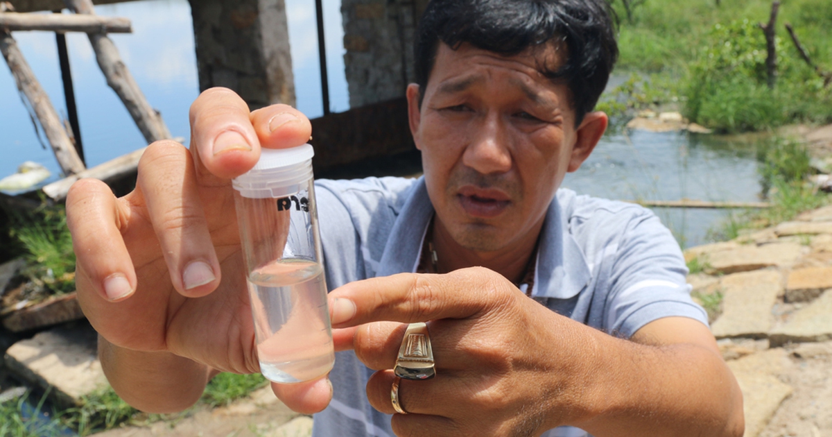 Cá chết dân đem đổ ra quốc lộ: Do thiếu ôxy chứ không phải ô nhiễm