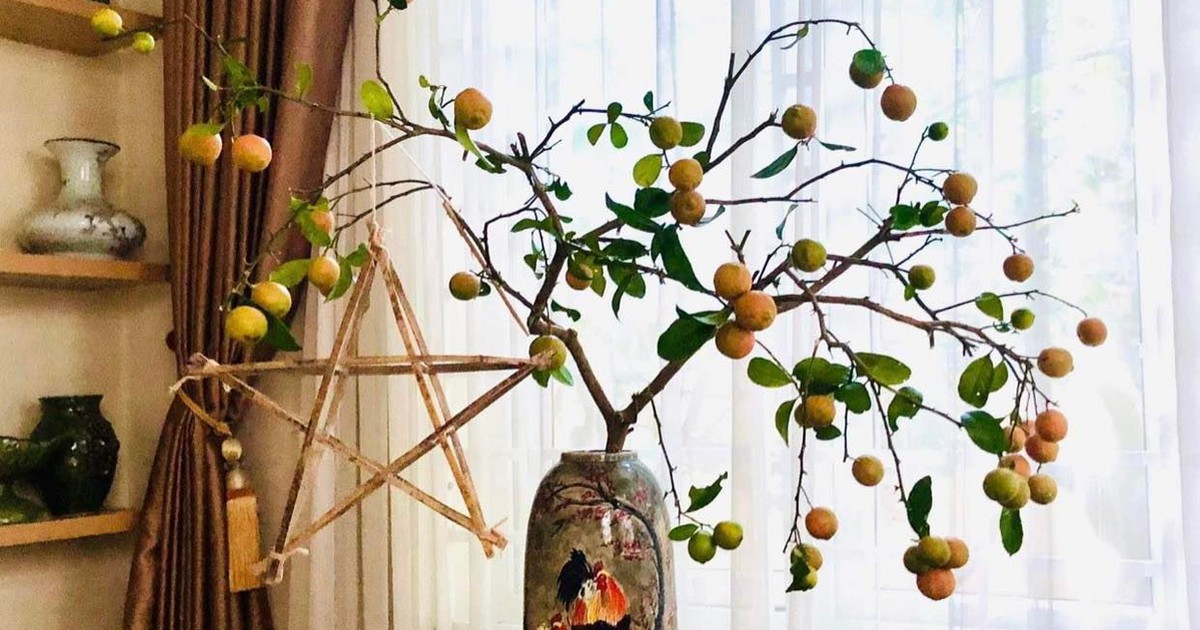 Nở rộ trào lưu cắm quả 'độc, lạ'