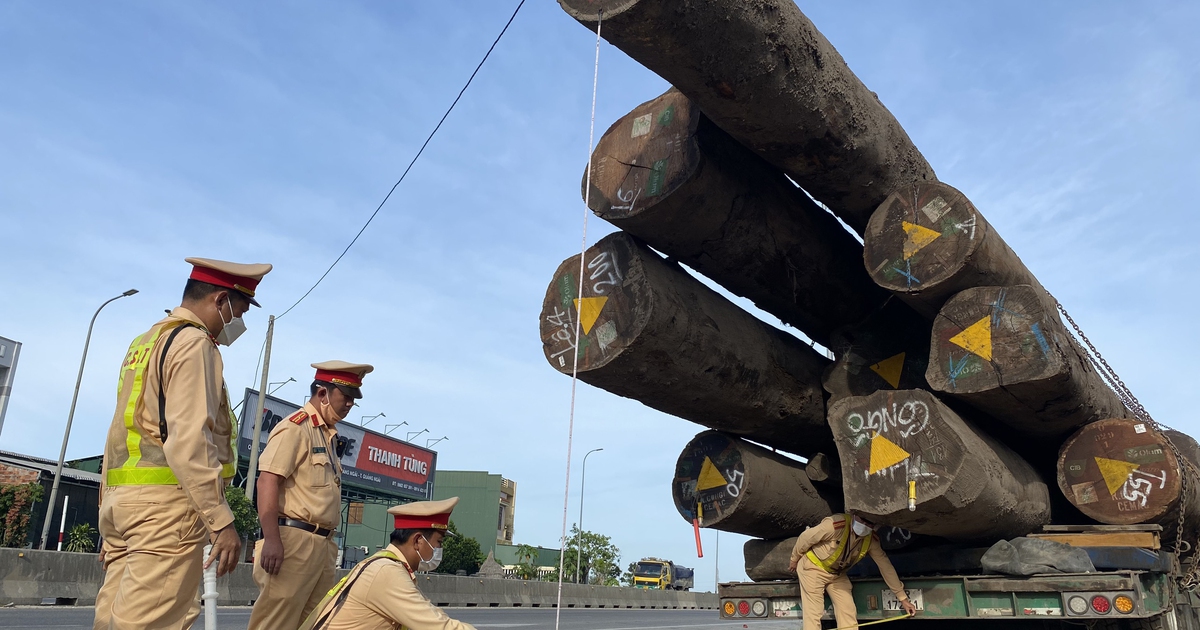 Quảng Ngãi: Tạm giữ xe đầu kéo chở gỗ khủng từ Hải Phòng đi qua địa bàn