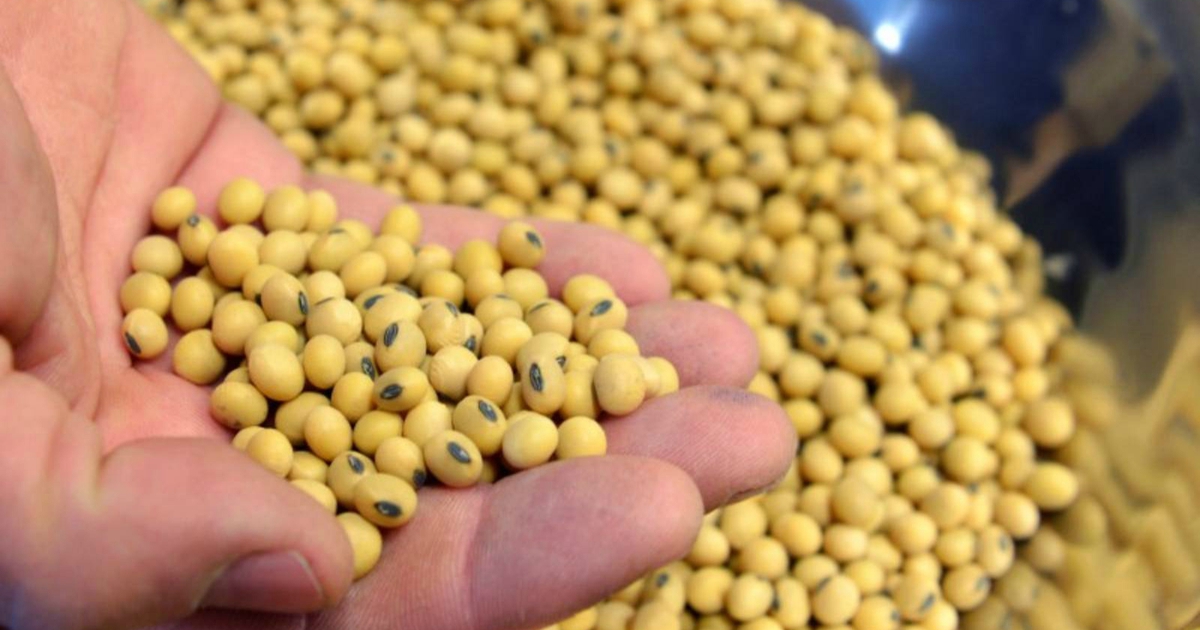 Trung Quốc tiếp tục đánh thuế đáp trả Mỹ