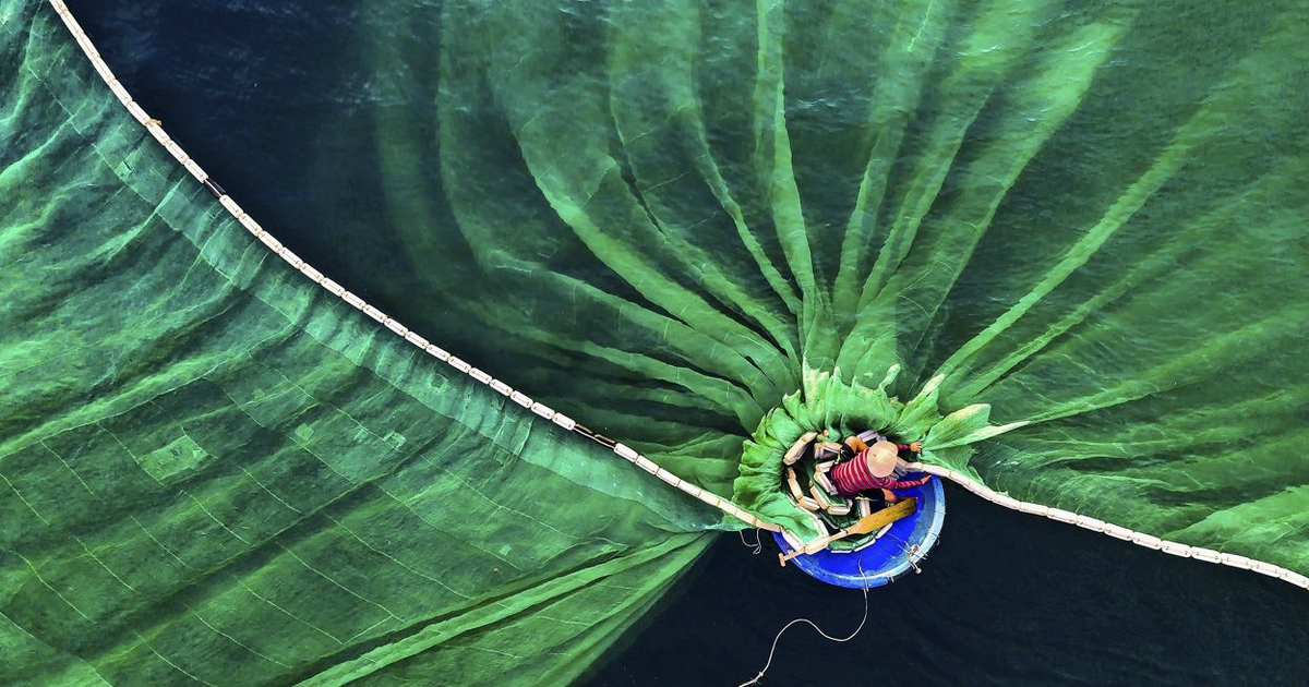 Người Việt đoạt giải nhất cuộc thi ảnh quốc tế về môi trường