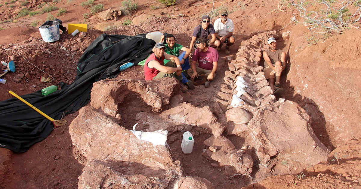 Tìm thấy hóa thạch khủng long khổng lồ cổ xưa nhất tại Argentina?