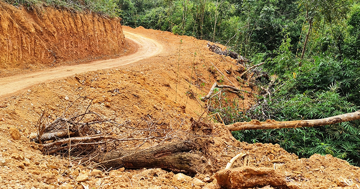 Dừng thi công toàn bộ đoạn đường Trường Sơn Đông đi qua Vườn quốc gia Bidoup-Núi Bà