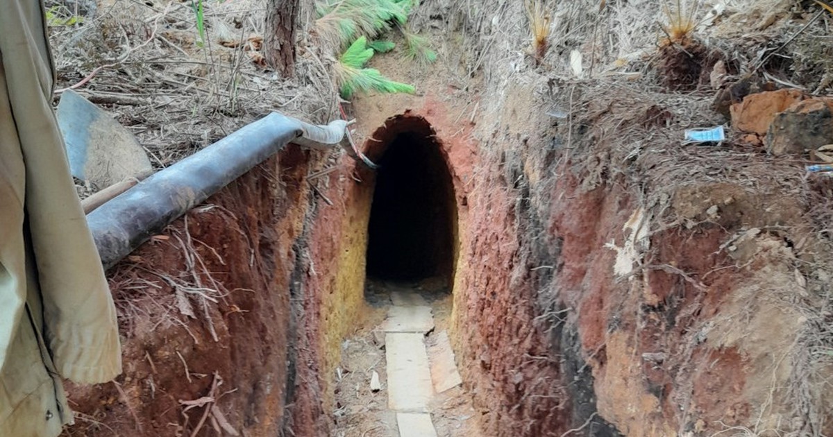 Đào địa đạo trong rừng Lâm Đồng để khai thác thiếc lậu