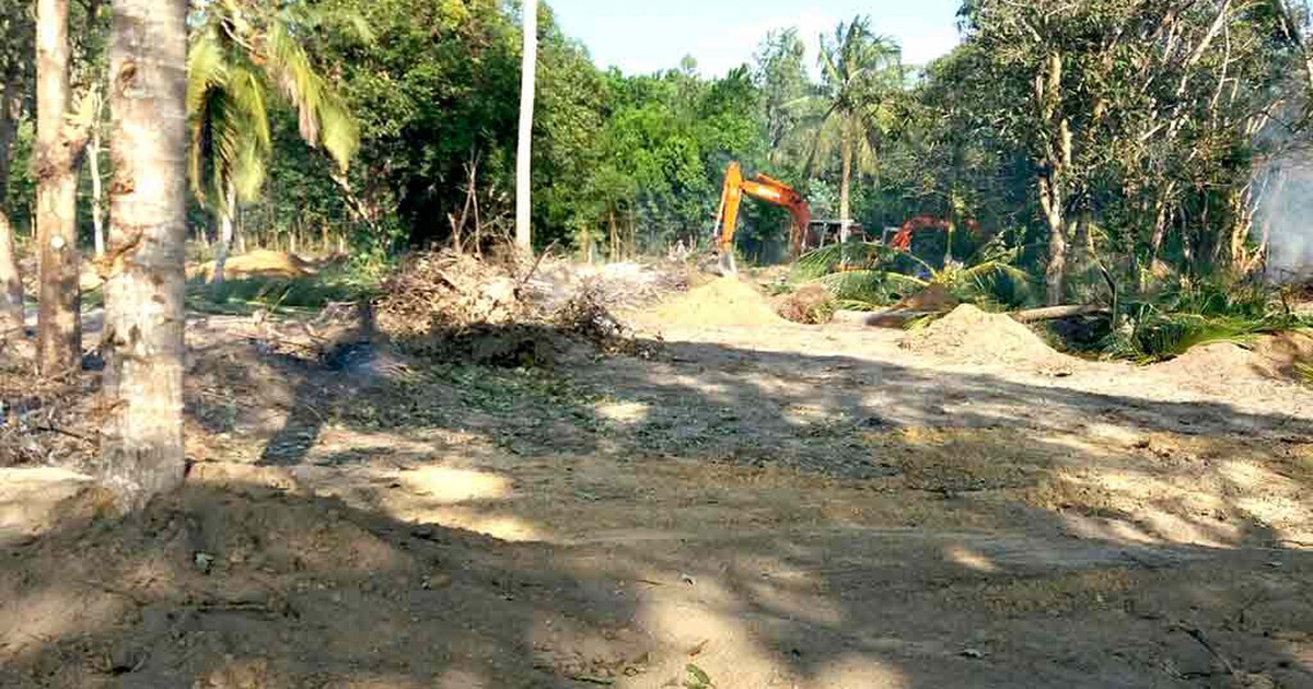 Không để cò đất lộng hành ở 3 'đặc khu tương lai’