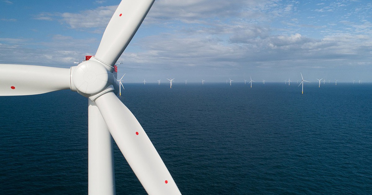 Quy hoạch điện gió 'chật chội', đại gia Việt liệu có chen chân được?