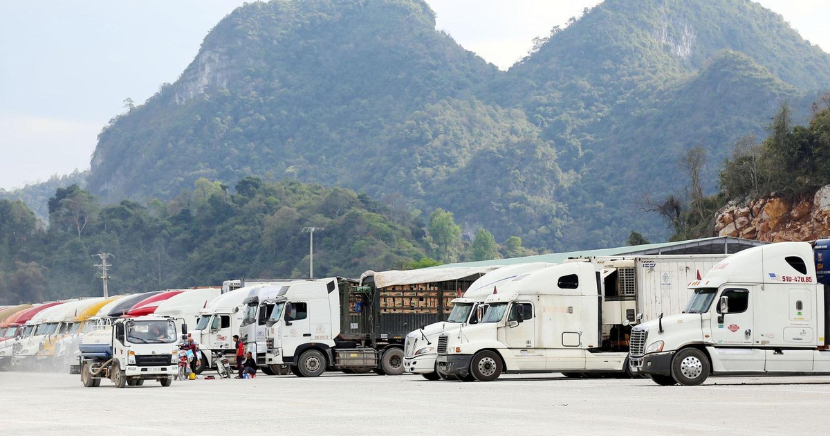 Phó thủ tướng yêu cầu khắc phục tình trạng ùn tắc nông sản