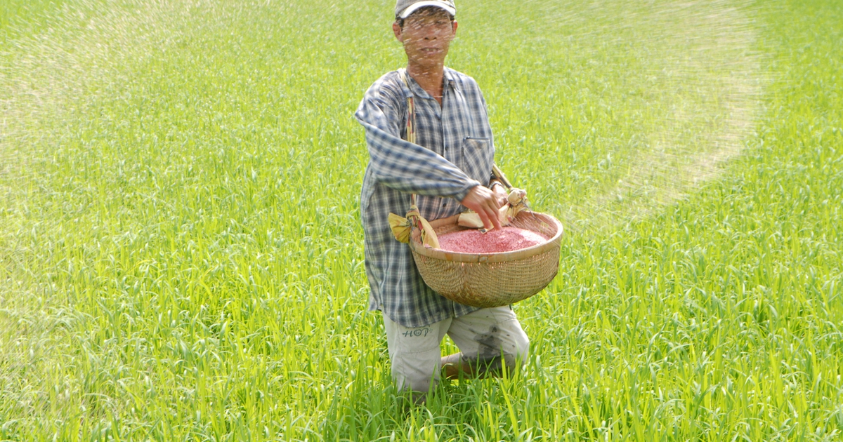 Loại hàng ngàn sản phẩm phân bón, thuốc kém chất lượng