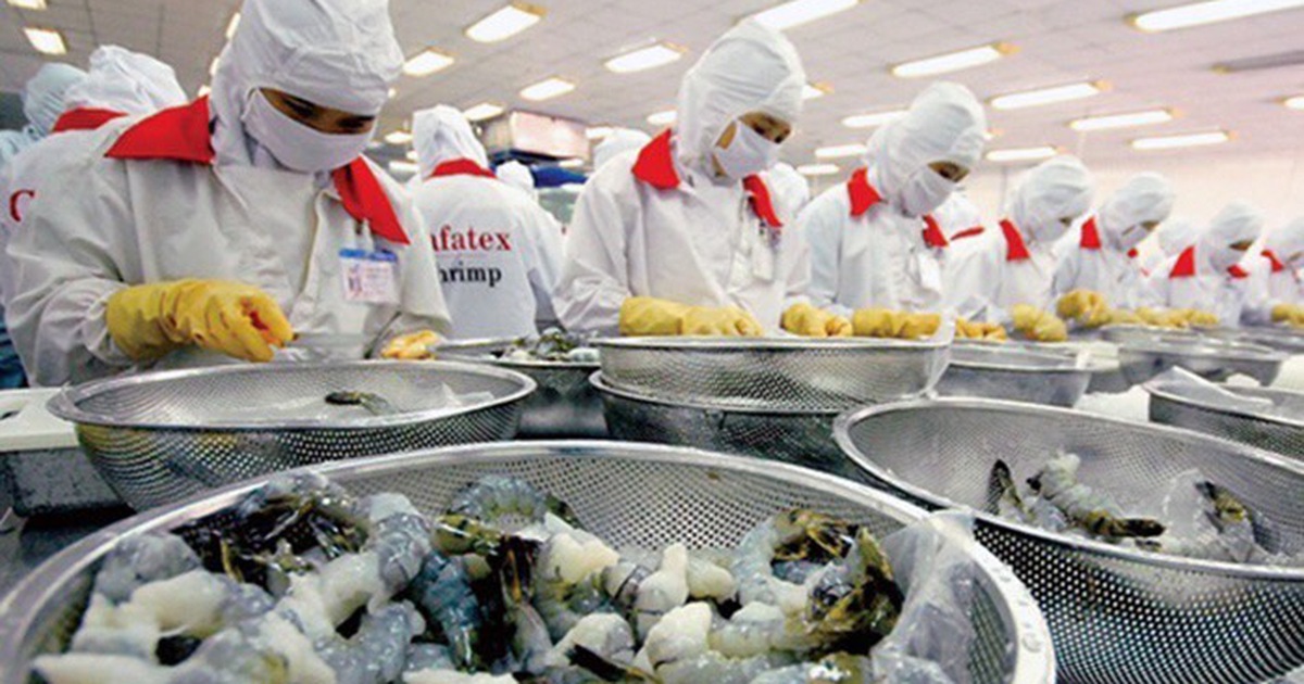 Vượt qua Thái, tôm Việt đứng thứ 4 tại thị trường Mỹ