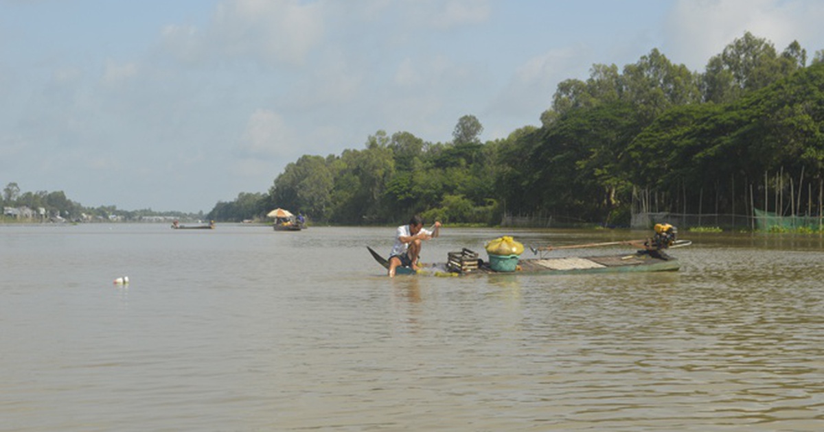 Thủy điện Mê Kông khiến Việt Nam tụt hạng an ninh lương thực toàn cầu