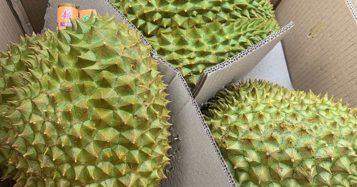 3 lý do có thể giúp sầu riêng Việt Nam vượt Thái Lan ở Trung Quốc