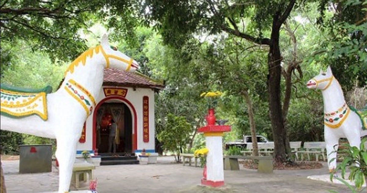 thanhnien.vn
