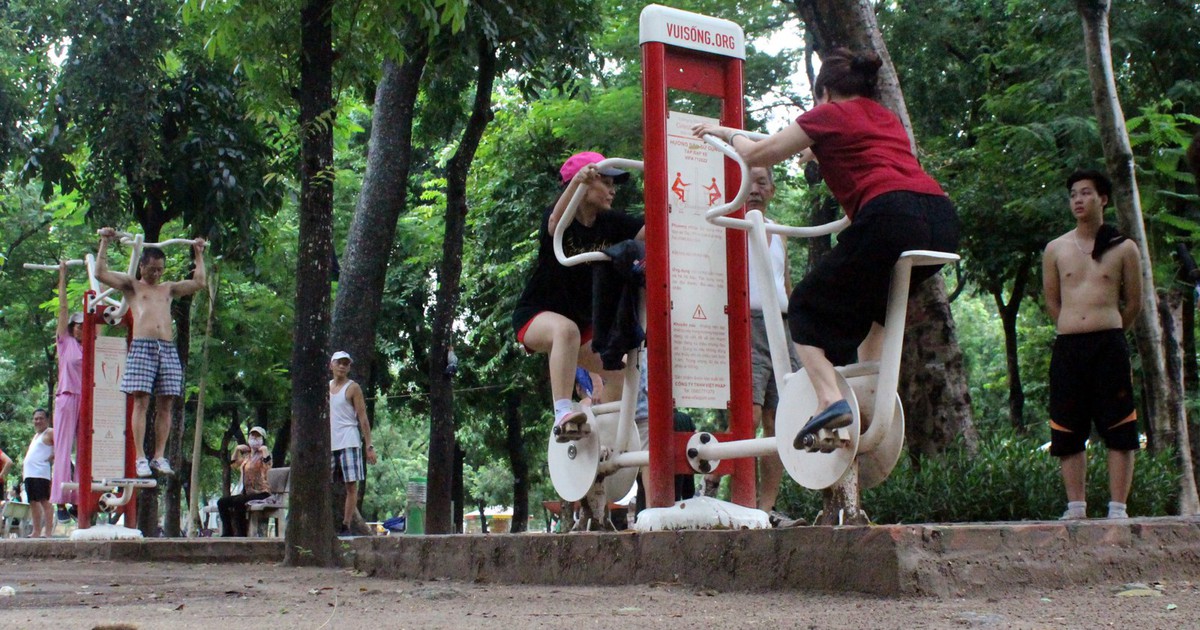 Hà Nội sắp chặt, di chuyển 42 cây xanh trong công viên Thống Nhất