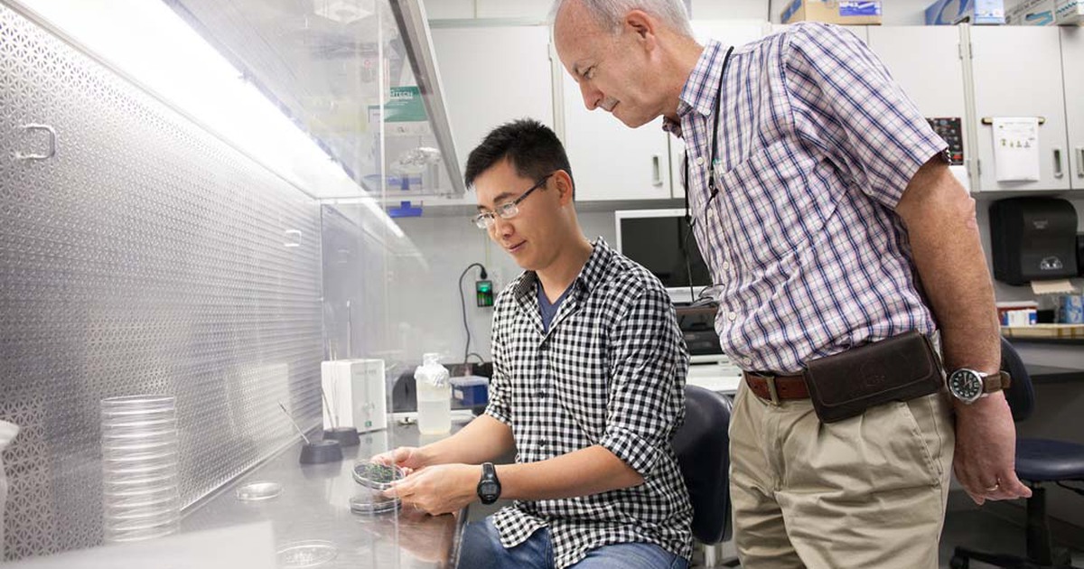 Người làm sống lại loài lan ma huyền thoại