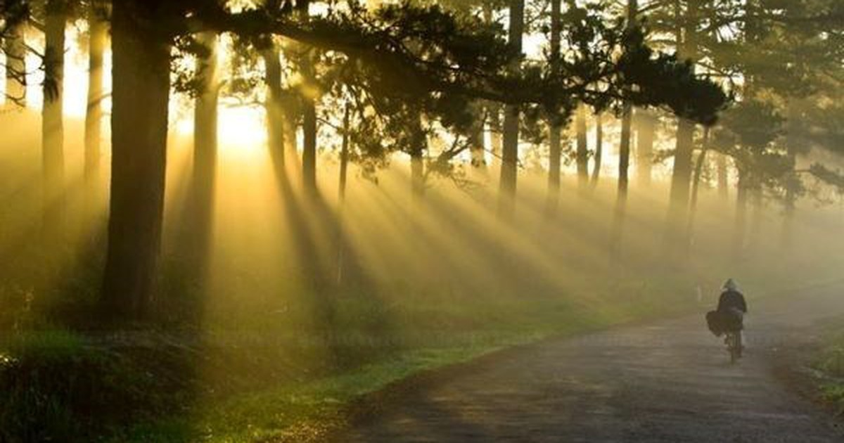 Ban hành cơ chế, chính sách đặc thù để phát triển Đà Lạt