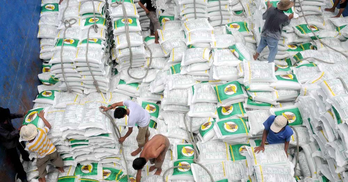 Giá gạo xuất khẩu của VN rơi từ đỉnh xuống đáy