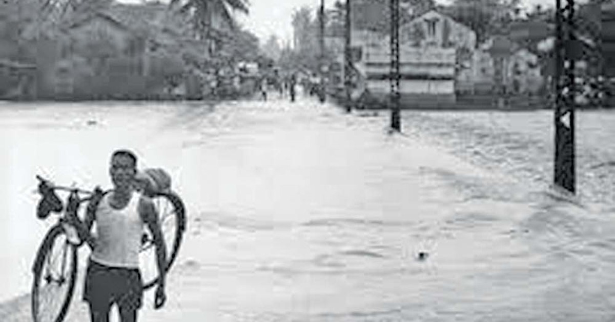thanhnien.vn