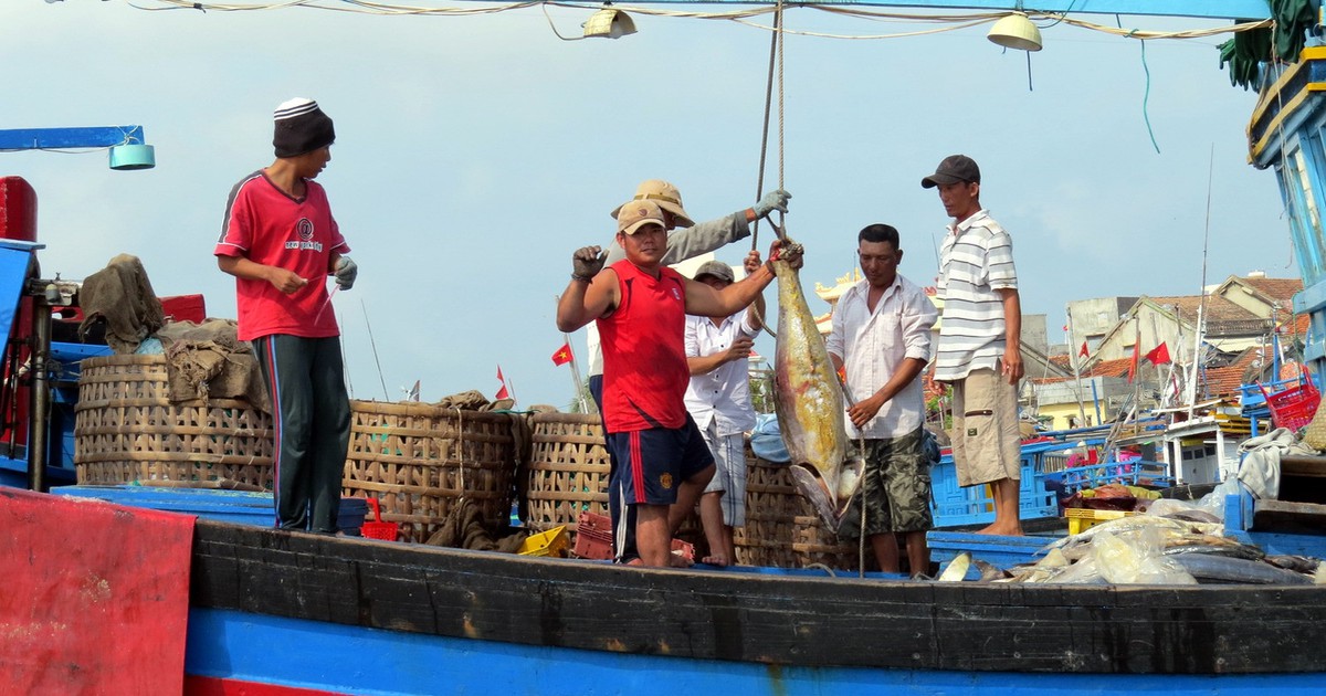 Chi trả xong tiền bồi thường đợt 1 cho ngư dân trong tháng 11