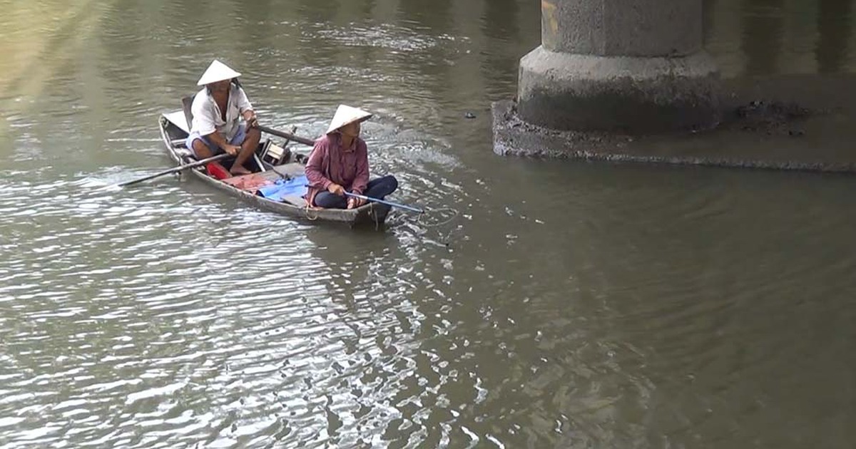 Cá trên kênh Nhiêu Lộc - Thị Nghè vẫn bị tận diệt
